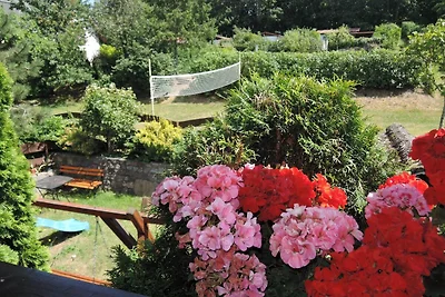 Camera doppia con vista sul giardino, Lubin