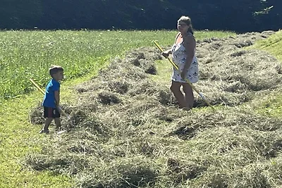 Almgut Farm || Faistenau