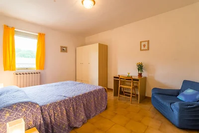 Agriturismo moderno a Bucine con piscina