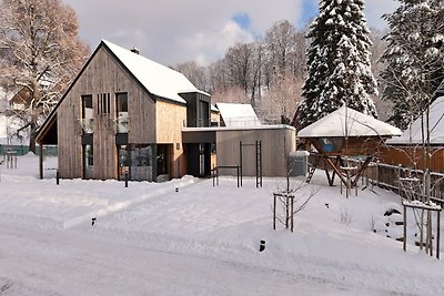 Villa mit Kamin in Cerný Dul