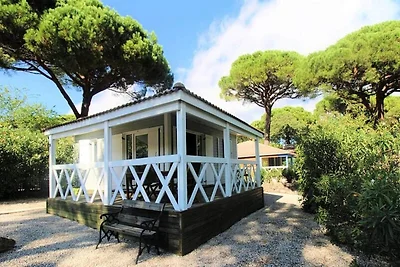 Oasis Park Residence f�r vier Personen