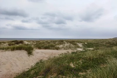 8 Personen Ferienhaus in Fjerritslev-By Traum