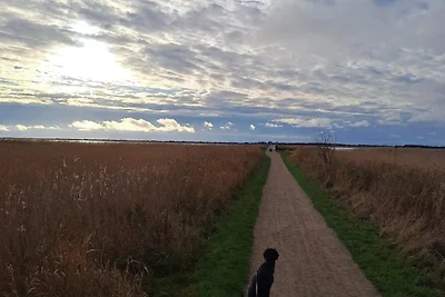 Apartment in Ringkøbing für zwei Personen