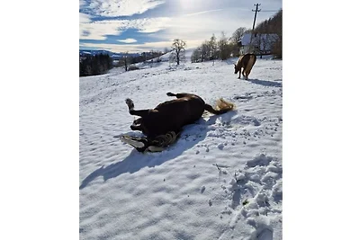 Appartamento per vacanze a San Pietro con...