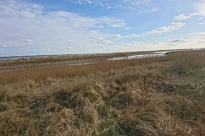 6 Personen Ferienhaus in Hals