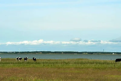 8 Personen Ferienhaus in Blåvand