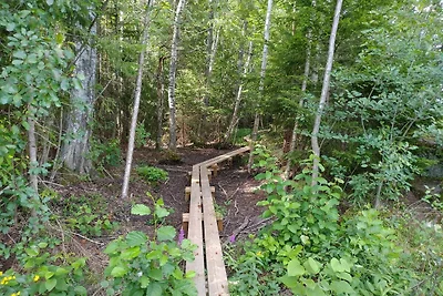 7 persoons vakantie huis in VIRSERUM-By Traum