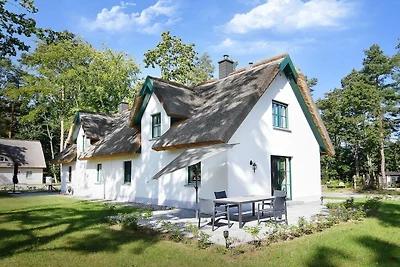 Sandregenpfeifer