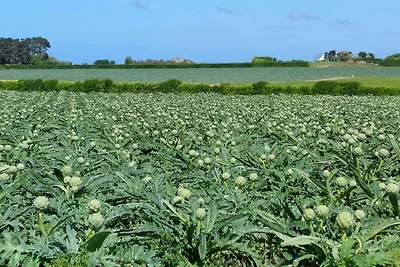 Direkte Umgebung (Sommer) (<1 km) Direkte Umgebung (Sommer) (<1 km)