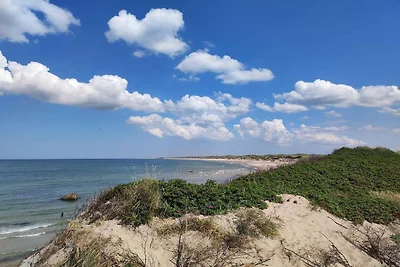 5 persone case ad Thisted-By Traum