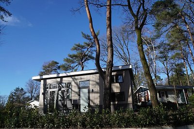 Tiny house met een sfeerhaard nabij de Veluwe