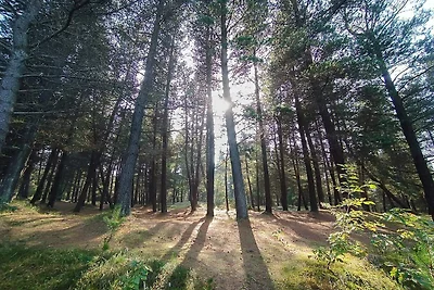 4 persone case ad Skagen-By Traum