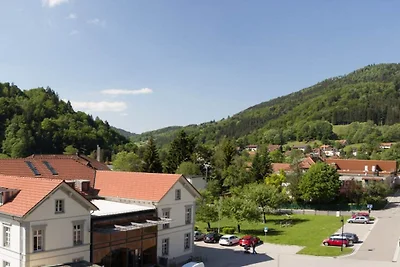 Dietsche Todtnau - Hasenhornblick