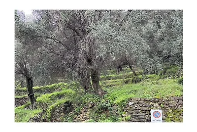 Baita a Civezza con piscina