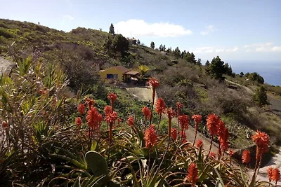 Holiday home in Tijarafe with swimming pool
