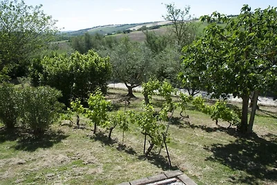 Maison de vacances avec 3 chambres