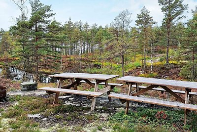6 Personen Ferienhaus in Halden
