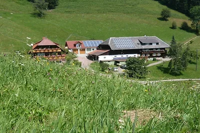 Sonneneck auf dem Gipfhof