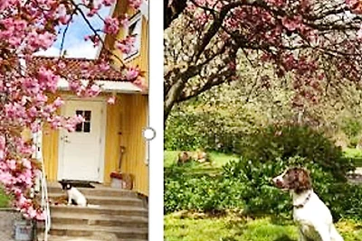 8 Personen Ferienhaus in KARLSKRONA