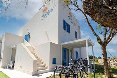 Schönes Ferienhaus in Favignana am Meer