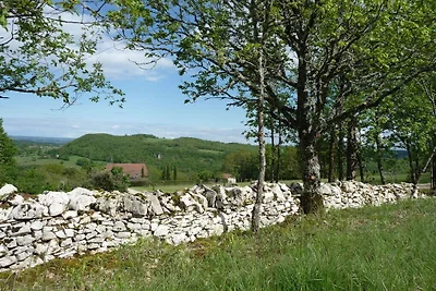 Vakantiehuis Ontspannende vakantie Gourdon