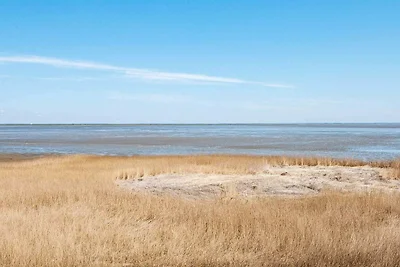 Strandparadies im Vadehavet -- By Traum...
