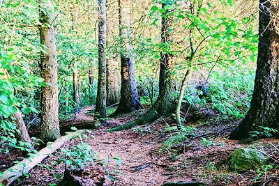 4 sterren vakantie huis in Hornsyld