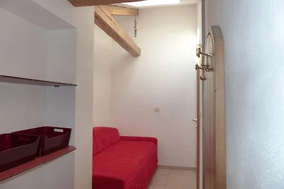 Araucaria in der Residence Braiter