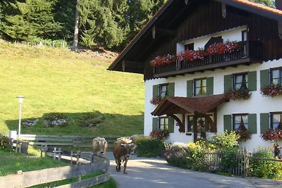 Gästehaus Bollwein