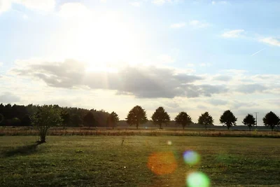 Op de boerderij van het erfelijke dorpshoofd