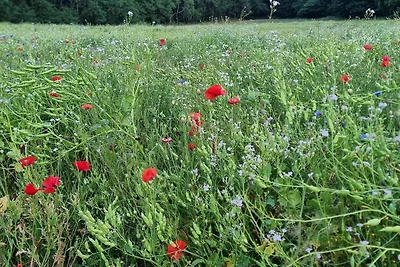 Modernes Refugium mit Blick -- By Traum...