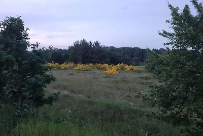 6 persone case ad Rønde-By Traum