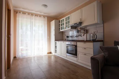 Apartments Slavek - One Bedroom Apartment wit...