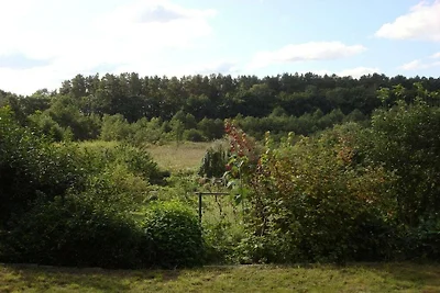 Am Pagelsee im Müritz-Nationalpark