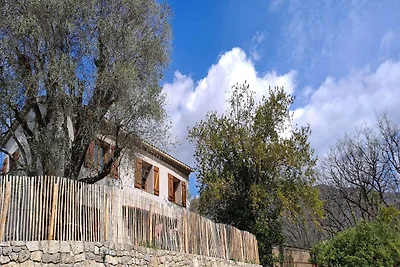 Riviera Countryside Family Villa