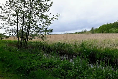 6 Personen Ferienhaus in Ebeltoft