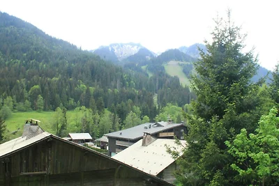 Apartment in Chatel mit Skischrank