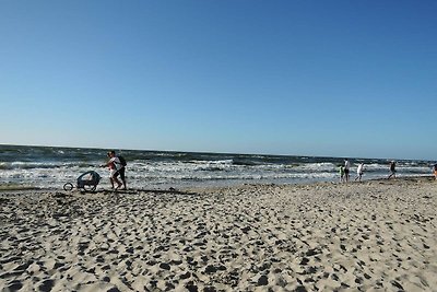 Case lussuose sull'acqua, vicino al mare.