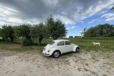 Vakantiehuis in Oostburg met barbecue