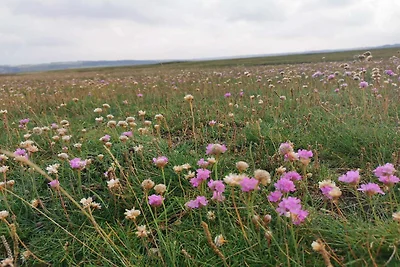 5 Personen Ferienhaus in Lemvig-By Traum