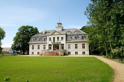 Vakantiehuis in Selchow met een geweldige...