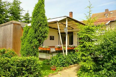 Ferienhaus in Cattenstedt Harz mit Garten