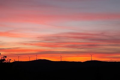 Wohnung im Schwarzwald mit Garten