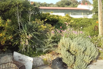 Guest House Green Corner Supetarska Draga - S...