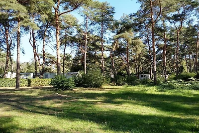 Mobilheim mit Gemeinschaftspool (6 Personen)