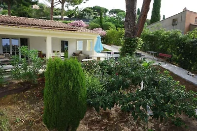La Petite Provence || Cavalaire