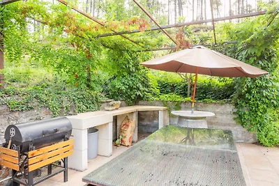 Ferienhaus in Molières-sur-Cèze mit Pool
