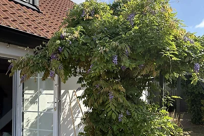 5 Sterne Ferienhaus in Löderup