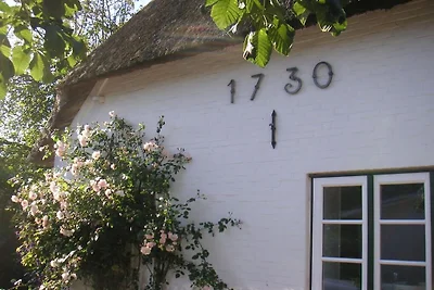 "The Coachman's Cottage"