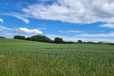 6 persoons vakantie huis in Knebel